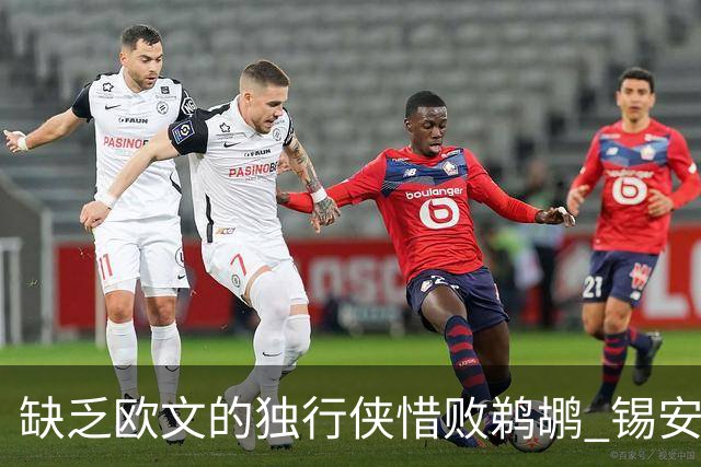 缺乏欧文的独行侠惜败鹈鹕 锡安替补持平表现